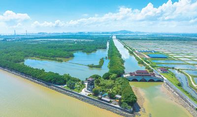 江河入海处 生机正盎然（美丽中国）